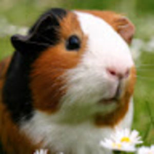 Meet your Posher, Kaitlyn